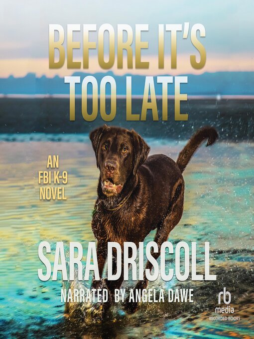 Title details for Before It's Too Late by Sara Driscoll - Available